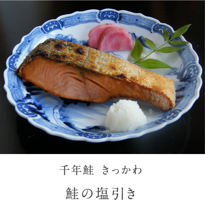 1000年鲑鱼kikkawa鲑鱼的盐拉