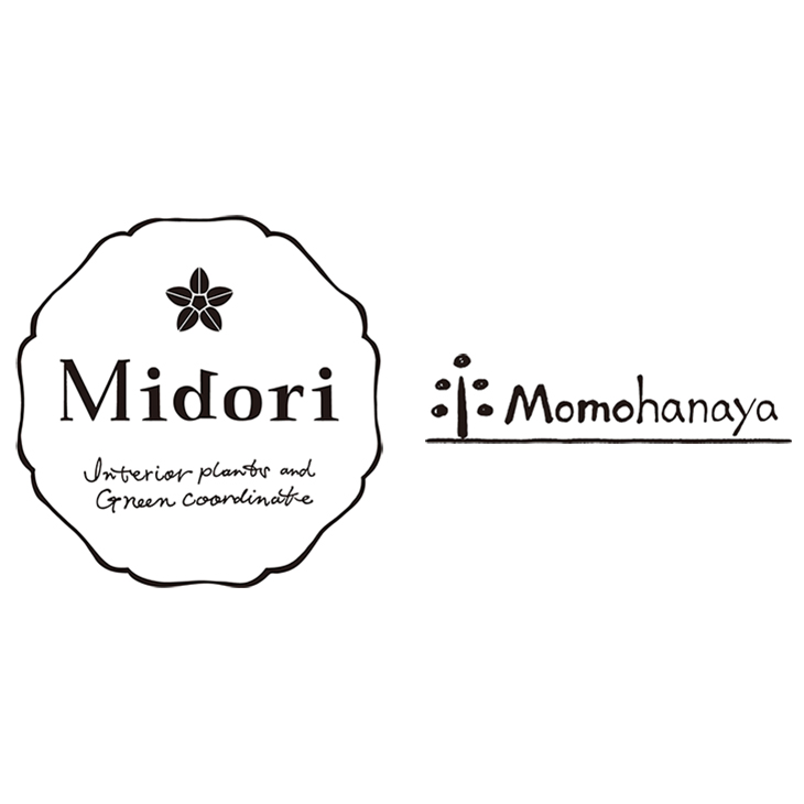 Midori/Momohanaya
